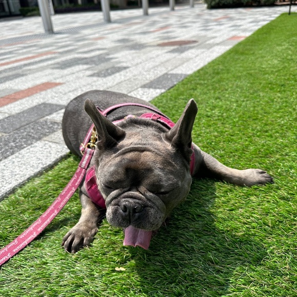 Meet your Posher, Anette - Picture 1 of 2